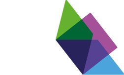 The Sex Education Initiative